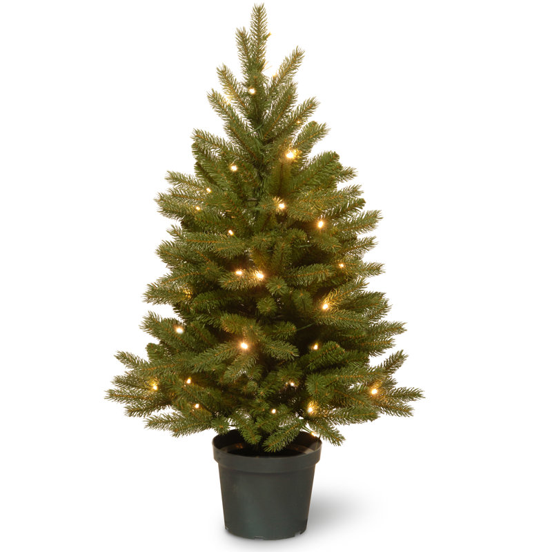 Beachcrest Home Jersey Fraser 3' Green Fir Artificial Christmas Tree with 35 Color & Clear